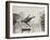 1936 Berlin Olympics-Robert Hunt-Framed Photographic Print