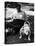 1938 Morris + Essex Dog Show. English Bulldog-null-Stretched Canvas