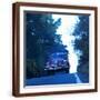 Brown Frame