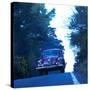 Stretched Canvas