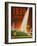 1939 San Francisco Golden Gate Exposition World's Fair Poster-null-Framed Giclee Print