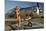 1940's Pin-Up Girl Sitting on the Wing of a World War II T-6 Texan-null-Mounted Photographic Print