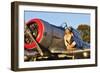 1940's Style Aviator Pin-Up Girl Posing with a Vintage T-6 Texan Aircraft-null-Framed Premium Photographic Print