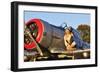 1940's Style Aviator Pin-Up Girl Posing with a Vintage T-6 Texan Aircraft-null-Framed Premium Photographic Print