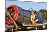 1940's Style Aviator Pin-Up Girl Posing with a Vintage T-6 Texan Aircraft-null-Mounted Premium Photographic Print