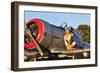 1940's Style Aviator Pin-Up Girl Posing with a Vintage T-6 Texan Aircraft-null-Framed Photographic Print