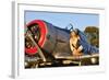 1940's Style Aviator Pin-Up Girl Posing with a Vintage T-6 Texan Aircraft-null-Framed Photographic Print