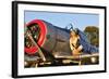 1940's Style Aviator Pin-Up Girl Posing with a Vintage T-6 Texan Aircraft-null-Framed Photographic Print