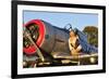 1940's Style Aviator Pin-Up Girl Posing with a Vintage T-6 Texan Aircraft-null-Framed Photographic Print