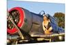 1940's Style Aviator Pin-Up Girl Posing with a Vintage T-6 Texan Aircraft-null-Mounted Photographic Print