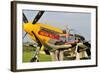 1940's Style Pin-Up Girl Lying on the Wing of a P-51 Mustang-null-Framed Photographic Print