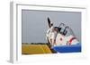 1940's Style Pin-Up Girl Sitting on the Wing of a Vintage T-6 Texan Aircraft-null-Framed Photographic Print