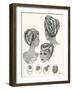 1940S Hairstyles-null-Framed Art Print