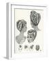 1940S Hairstyles-null-Framed Art Print