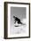 1940s MAN DOWNHILL SKIING WINTER OUTDOOR-H. Armstrong Roberts-Framed Photographic Print