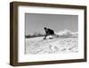 1940s MAN SKIING DOWNHILL RACING FAST SNOW FLYING WINTER OUTDOOR-H. Armstrong Roberts-Framed Photographic Print