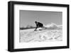 1940s MAN SKIING DOWNHILL RACING FAST SNOW FLYING WINTER OUTDOOR-H. Armstrong Roberts-Framed Photographic Print