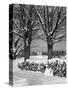 1940s PILE OF SNOW-COVERED FIREWOOD LOGS STACKED BETWEEN TWO TREES WITH COUNTRY CHURCH IN BACKGR...-Panoramic Images-Stretched Canvas