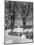 1940s PILE OF SNOW-COVERED FIREWOOD LOGS STACKED BETWEEN TWO TREES WITH COUNTRY CHURCH IN BACKGR...-Panoramic Images-Mounted Photographic Print