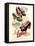 1940s UK Lotus Ltd Magazine Advert-null-Framed Stretched Canvas