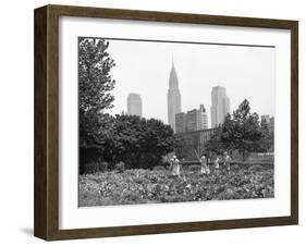 1943 Children Working in Victory Gardens in St. Gabriel's Park New York City Chrysler Building-null-Framed Premium Photographic Print