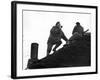 1944: Chester Wilmot, BBC War Correspondent with the Infantry Assault, Netherlands-George Silk-Framed Photographic Print