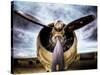 1945: Single Engine Plane-Stephen Arens-Stretched Canvas