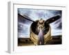 1945: Single Engine Plane-Stephen Arens-Framed Photographic Print