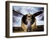 1945: Single Engine Plane-Stephen Arens-Framed Premium Photographic Print