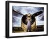 1945: Single Engine Plane-Stephen Arens-Framed Premium Photographic Print