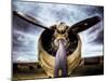 1945: Single Engine Plane-Stephen Arens-Mounted Premium Photographic Print