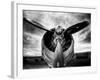 1945: Single Engine Plane-Stephen Arens-Framed Photographic Print