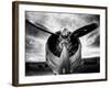 1945: Single Engine Plane-Stephen Arens-Framed Photographic Print