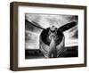 1945: Single Engine Plane-Stephen Arens-Framed Photographic Print
