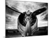 1945: Single Engine Plane-Stephen Arens-Mounted Photographic Print