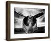 1945: Single Engine Plane-Stephen Arens-Framed Premium Photographic Print