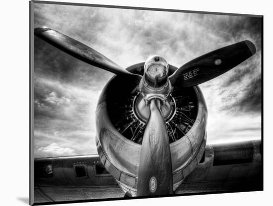 1945: Single Engine Plane-Stephen Arens-Mounted Premium Photographic Print