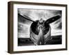 1945: Single Engine Plane-Stephen Arens-Framed Premium Photographic Print
