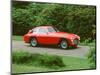 1949 Ferrari 195 Super Leggera-null-Mounted Photographic Print