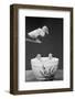 1950s DUCKLING ON DIVING BOARD LOOKING DOWN AT TWO OTHER DUCKLINGS IN DEEP BOWL FILLED WITH WATER-H. Armstrong Roberts-Framed Photographic Print