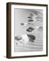 1950s Footsteps in Sand Dunes-null-Framed Photographic Print