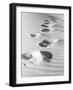 1950s Footsteps in Sand Dunes-null-Framed Photographic Print