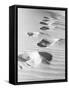 1950s Footsteps in Sand Dunes-null-Framed Stretched Canvas