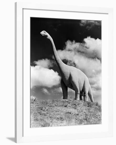 1950s Life-Size Statue of Extinct Long Neck Gigantic Brontosaurus Dinosaur Park Established 1936-null-Framed Photographic Print