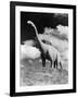 1950s Life-Size Statue of Extinct Long Neck Gigantic Brontosaurus Dinosaur Park Established 1936-null-Framed Photographic Print