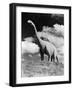 1950s Life-Size Statue of Extinct Long Neck Gigantic Brontosaurus Dinosaur Park Established 1936-null-Framed Photographic Print