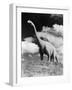 1950s Life-Size Statue of Extinct Long Neck Gigantic Brontosaurus Dinosaur Park Established 1936-null-Framed Photographic Print