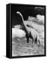 1950s Life-Size Statue of Extinct Long Neck Gigantic Brontosaurus Dinosaur Park Established 1936-null-Framed Stretched Canvas