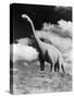 1950s Life-Size Statue of Extinct Long Neck Gigantic Brontosaurus Dinosaur Park Established 1936-null-Stretched Canvas