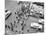 1950s New York City, NY 5th Avenue Overhead View of Traffic and Pedestrians Crossing Street-null-Mounted Photographic Print